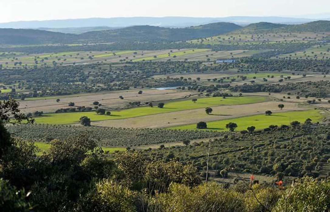 Guarinos asegura que Page sigue adelante con su plan de querer acabar con el sector agrario de la región