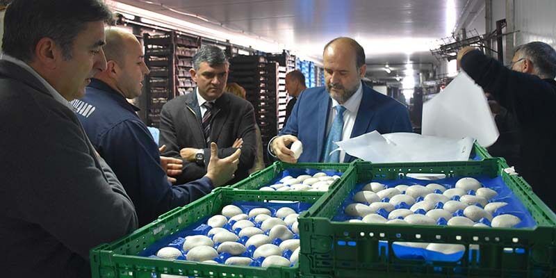Martínez Guijarro “Rejuvenecer el campo es invertir de forma segura en el futuro del sector agrario”