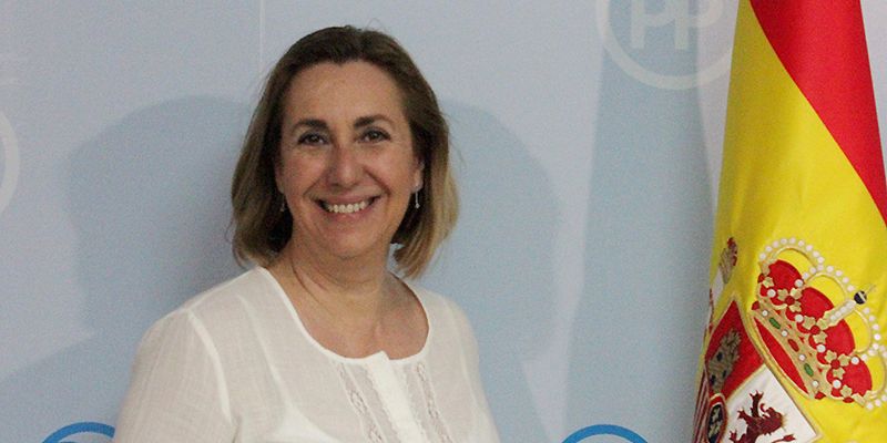 Valmaña resalta la “grave fractura interna del PSOE” escenificada ayer en Guadalajara y en Alcalá de Henares