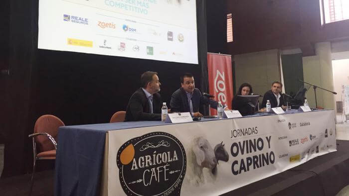 El Gobierno regional ordena el pago de 3.139.905 millones de euros para ganaderos de ovino y caprino de Castilla-La Mancha por sus derechos especiales