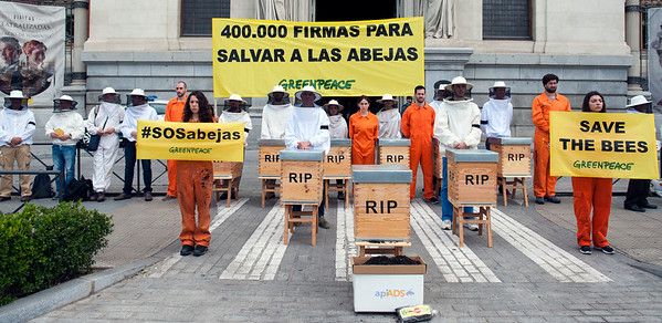 Apicultores y activistas de Greenpeace entregan en el Ministerio de Agricultura 400.000 firmas para salvar las abejas