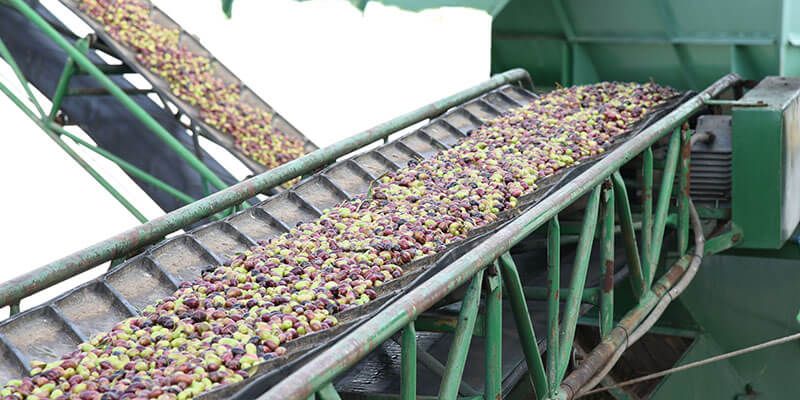 Destinados 1.480.000 euros para la promoción de cooperativas y sociedades laborales en Castilla-La Mancha