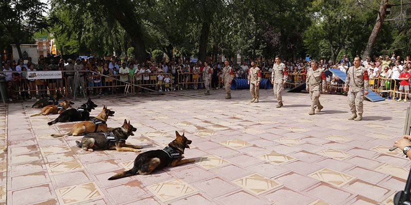 El Jefe de la Unidad Militar de Emergencias inaugura la exposición de material de Guadalajara con motivo del Día de las Fuerzas Armadas