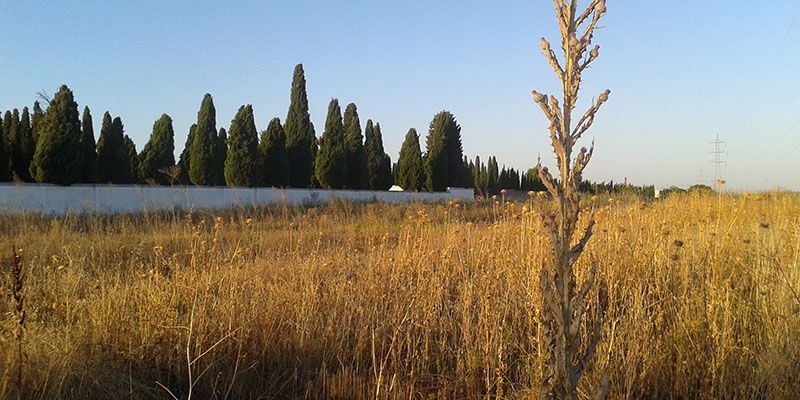 El PP denuncia que alcalde de Azuqueca oculta el proyecto del tanatorio que prometió en 2014