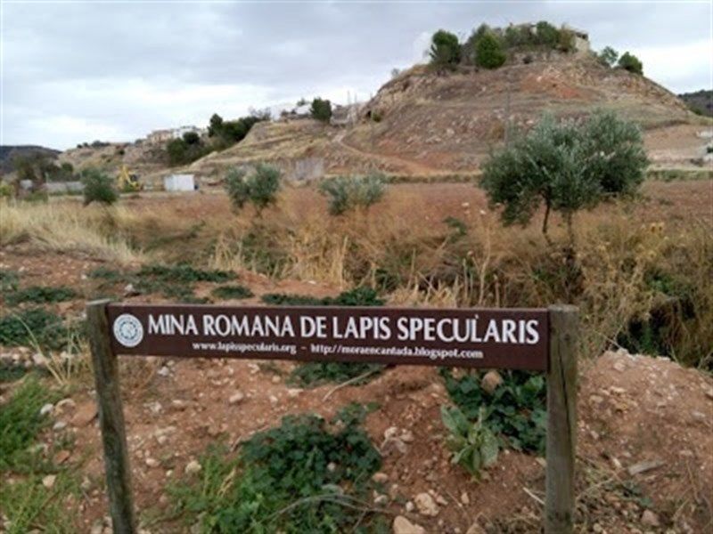 Inician una recogida de firmas en Change.org contra una explotación intensiva de porcino en Torrejoncillo del Rey