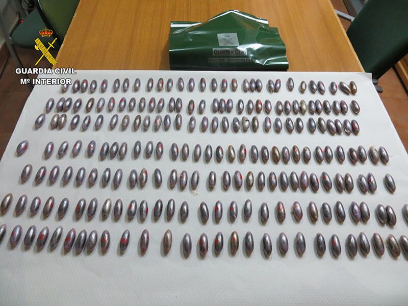 La Guardia Civil detiene a dos personas en Cuenca e interviene 210 bellotas de hachís