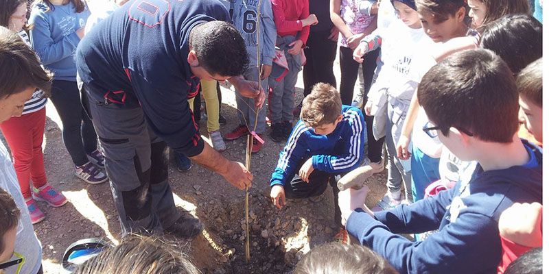 Los niños de Huete plantan de olmos un futuro jardín