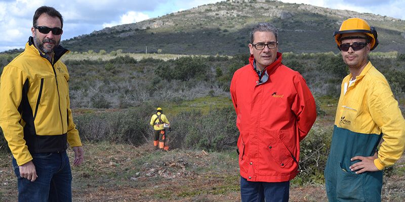 La Junta destina más de 7 millones de euros a los trabajos de selvicultura preventiva en la provincia de Guadalajara