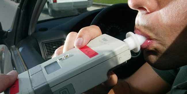 Un detenido en Guadalajara por conducir pasado de copas.... Y ninguna multa por sacar al perro sin correa