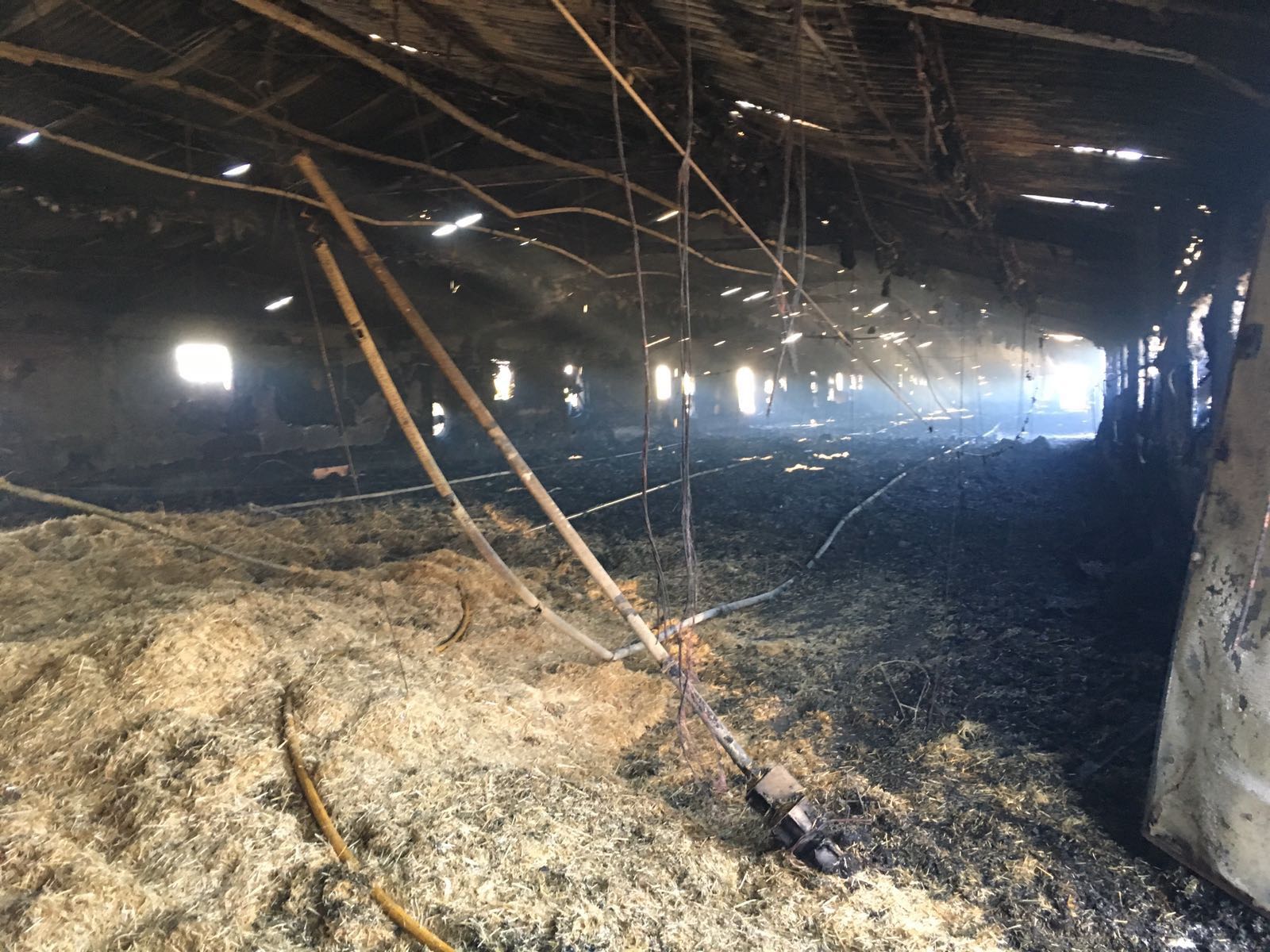 Arde una nave de pollos, vacía, en Villanueva de la Jara