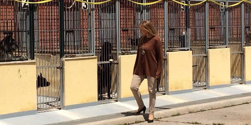 Cs Cuenca promueve una nueva ordenanza que evite el sacrificio de animales