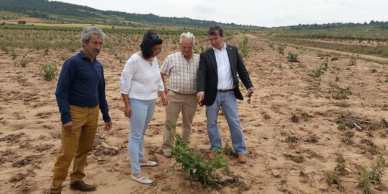 David Cuesta comprueba in situ los daños de la fuerte tormenta de granizo del pasado miércoles en La Pesquera
