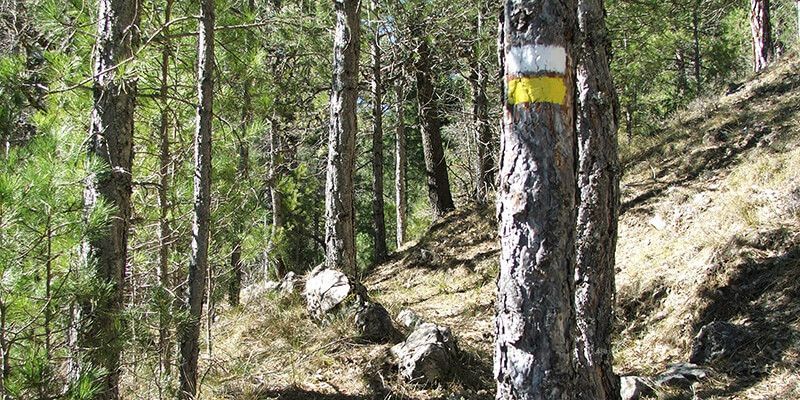 El Campus de Senderismo Diputación de Cuenca cierra la temporada de primavera en Huélamo