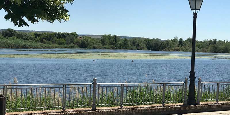 El Gobierno regional mantiene el ‘trasvase cero’ y pide a la ministra que ofrezca a los murcianos la alternativa de las desaladoras