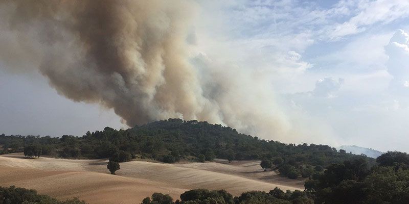 Controlados los incendios de Almoguera y El Recuenco