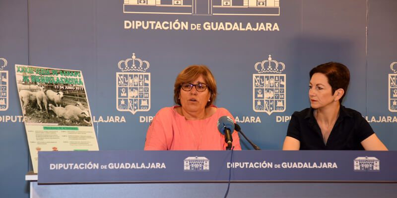 Hiendelaencina celebrará el próximo sábado la XXXIII Feria del Ganado