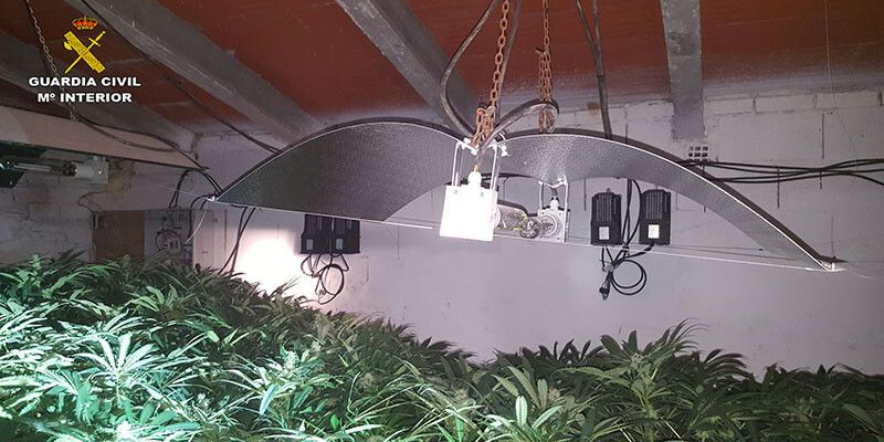 La Guardia Civil desmantela una plantación clandestina indoor de cannabis sativa en Vara de Rey