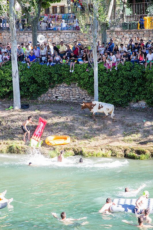 Las Vacas por el Tajo, una ‘Mini Holi Run’ o el Tributo a Mecano, principales atractivos de la Feria Chica trillana este año