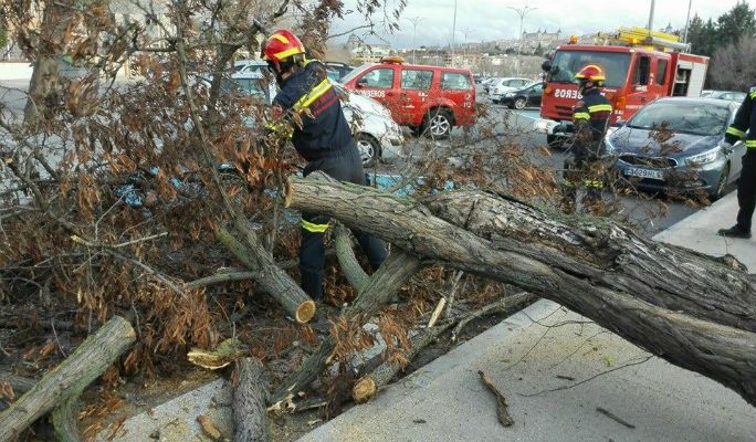 Rachas de viento de hasta 82 km/h originan numerosos incidentes en Guadalajara
