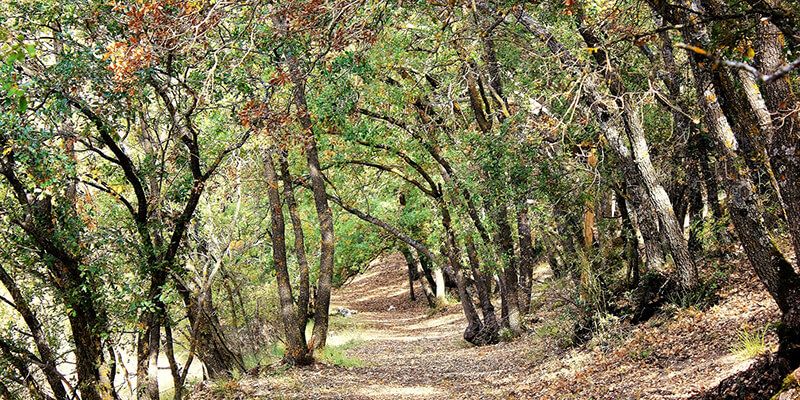 Valdenazar demuestra que los usos respetuosos con el entorno son compatibles con los fines recreativos