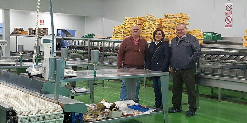 Yolanda Ramírez visita diferentes empresas de Torre del Burgo dedicadas a la producción del espárrago