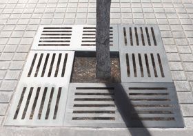 El Ayuntamiento de Guadalajara acometerá mejoras en 200 alcorques en seis importantes vías de la ciudad