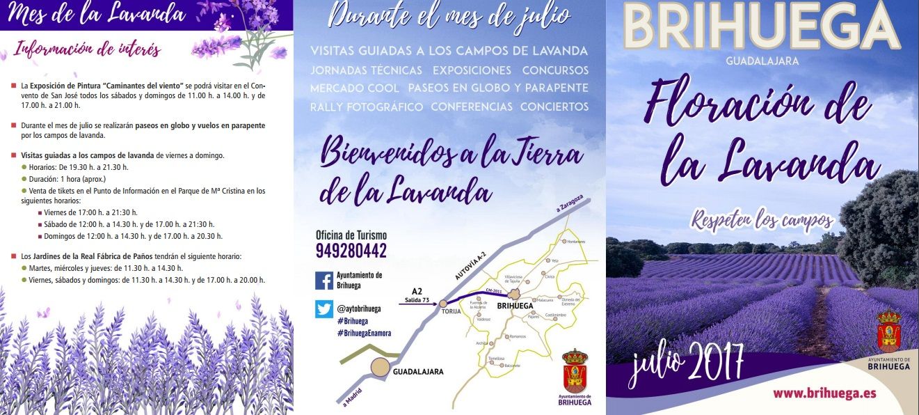 Acaba el Mes de la Lavanda en Brihuega
