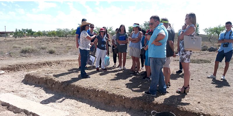 Buena respuesta del público en las visitas guiadas a las excavaciones en curso en el Parque Arqueológico de Segóbriga