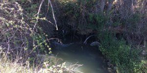 Cs Cuenca promoverá en el pleno la implantación de sistemas de depuración de aguas residuales en las pedanías