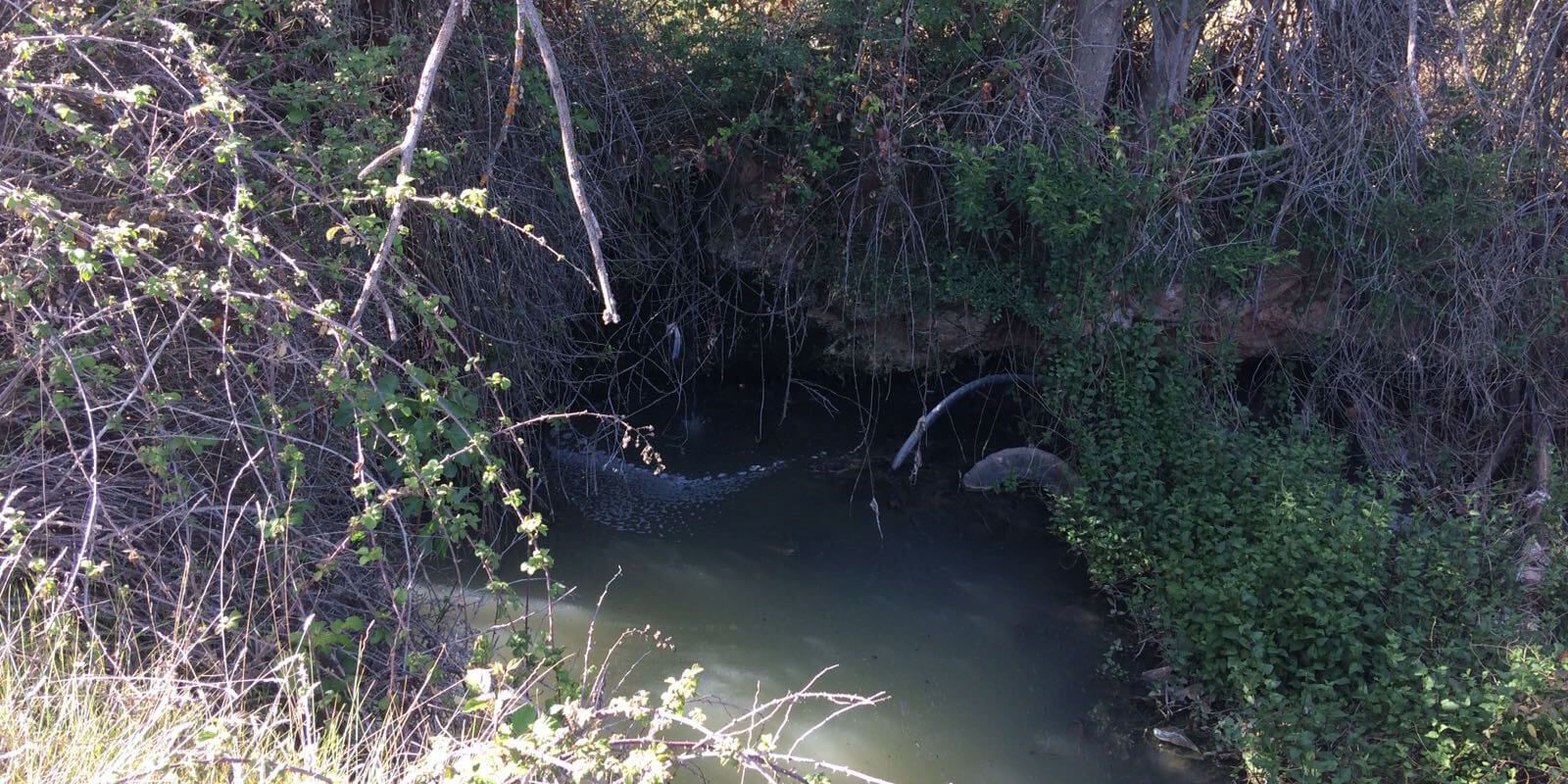 Cs Cuenca promoverá en el pleno la implantación de sistemas de depuración de aguas residuales en las pedanías