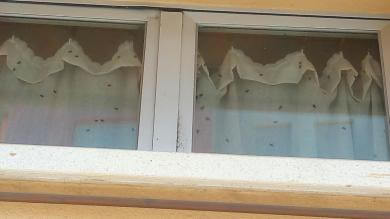 El Ayuntamiento de Cuenca pide al Juzgado autorización para limpiar la vivienda que albergó un cadáver durante más de 20 días