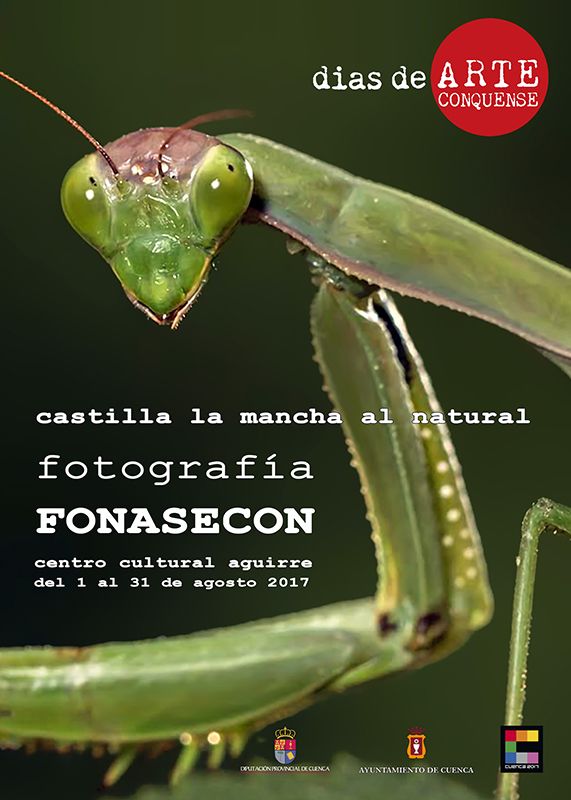 El Centro Cultural Aguirre acogerá durante agosto la exposición fotográfica ‘Castilla-La Mancha al natural’
