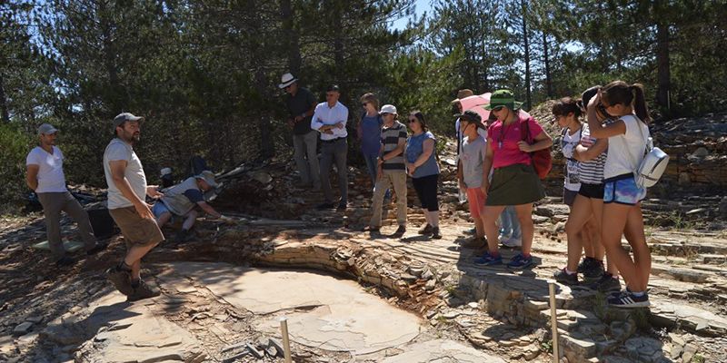 El Museo Regional de Paleontología dará un mayor protagonismo al yacimiento de Las Hoyas en su tercera fase