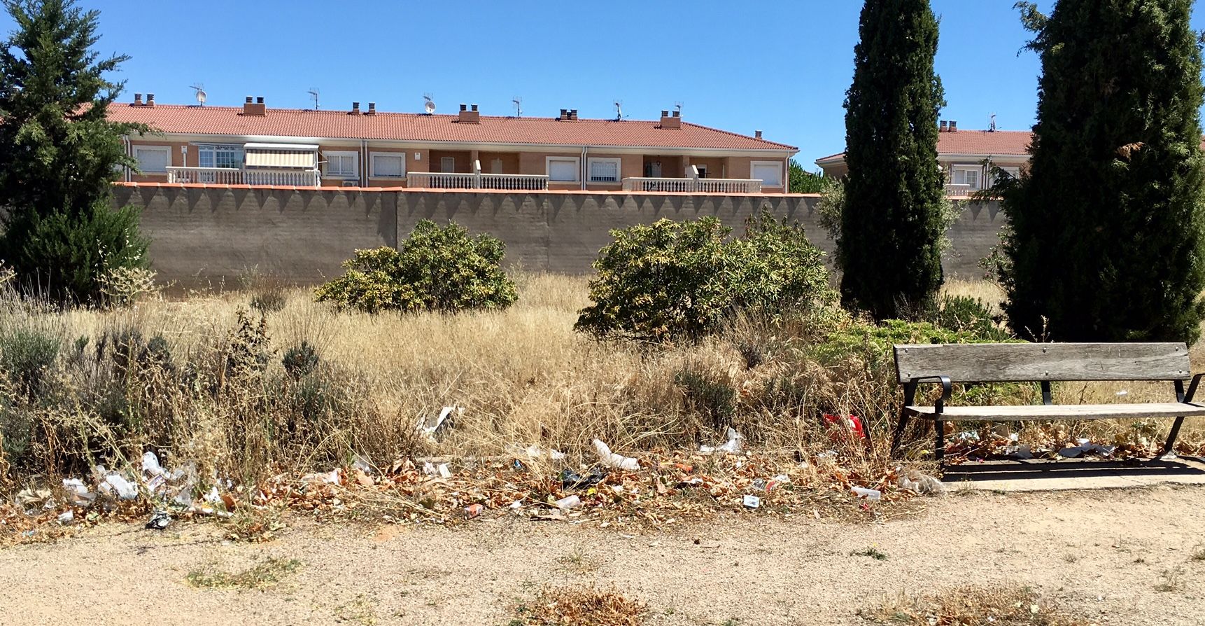 El PP de Villanueva de la Torre exigirá medidas “urgentes” para acabar con la suciedad que anida en las calles