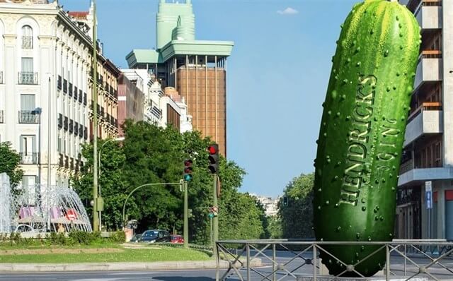 Hendrick's instala en Huete su primer huerto de pepino en España