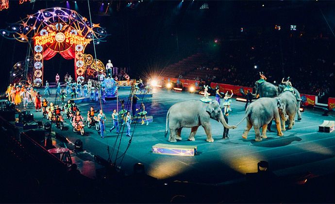 La Asociación de Circos Reunidos pide una reunión para intentar reconducir la decisión de la Junta