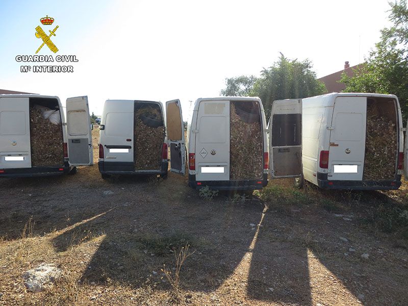 La Guardia Civil detiene a ocho personas por sustraer 13.000 kilos de ajos en Casas de Haro 3 La Guardia Civil detiene a ocho personas por sustraer 13.000 kilos de ajos en Casas de Haro