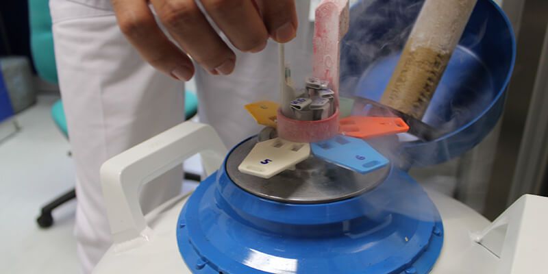 La Junta avanza en su compromiso de garantizar la equidad en el acceso a las prestaciones de reproducción humana asistida