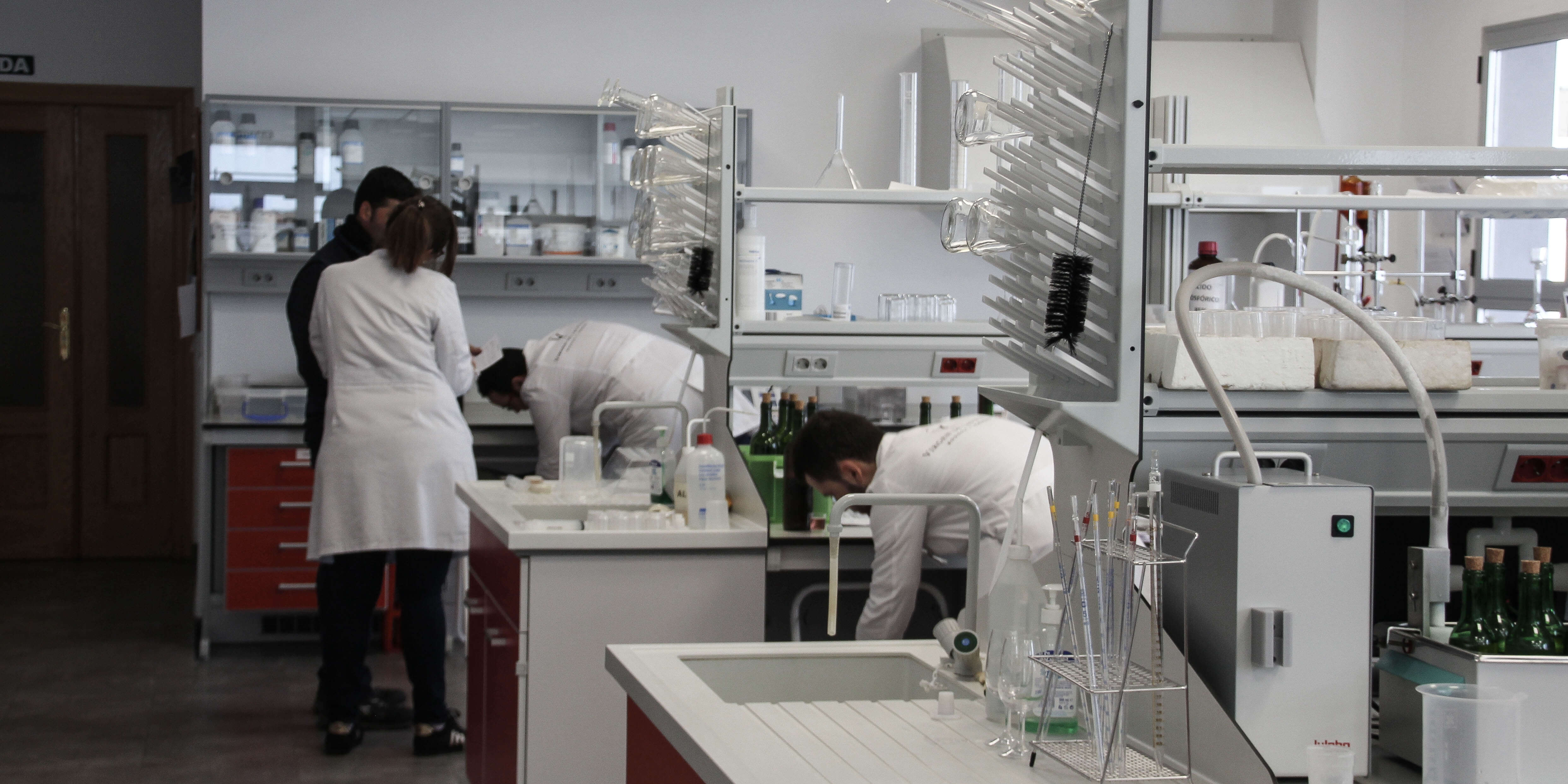 La Junta fortalece su sistema investigador convocando ayudas para proyectos de I+D+i