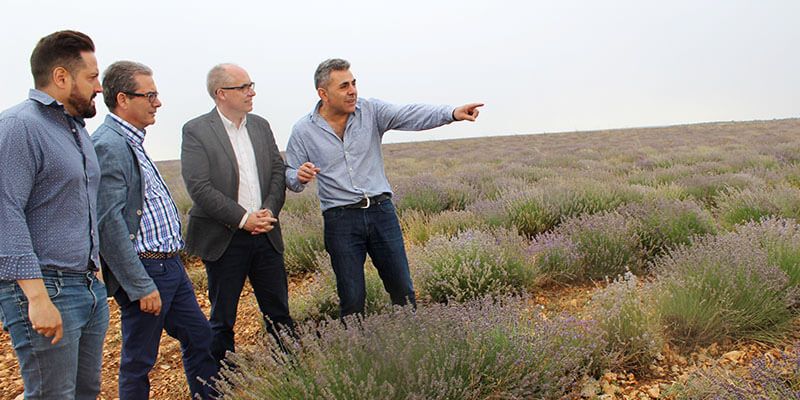 La Junta subvencionará por primera vez este año el cultivo de plantas aromáticas, dentro de las ayudas del Programa de Desarrollo Rural