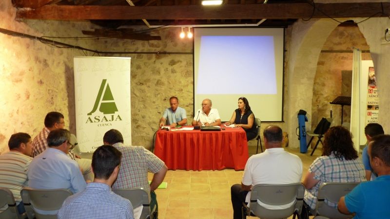 La sequía y el pedrisco dejarán un 30 por ciento menos de cosecha de uva en la provincia de Cuenca