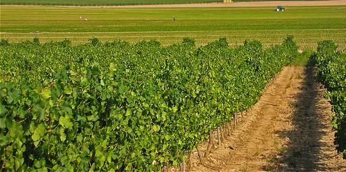 UGT-CLM y FICA-UGT-CLM exigen la inmediata convocatoria de la Mesa de Flujos Migratorios