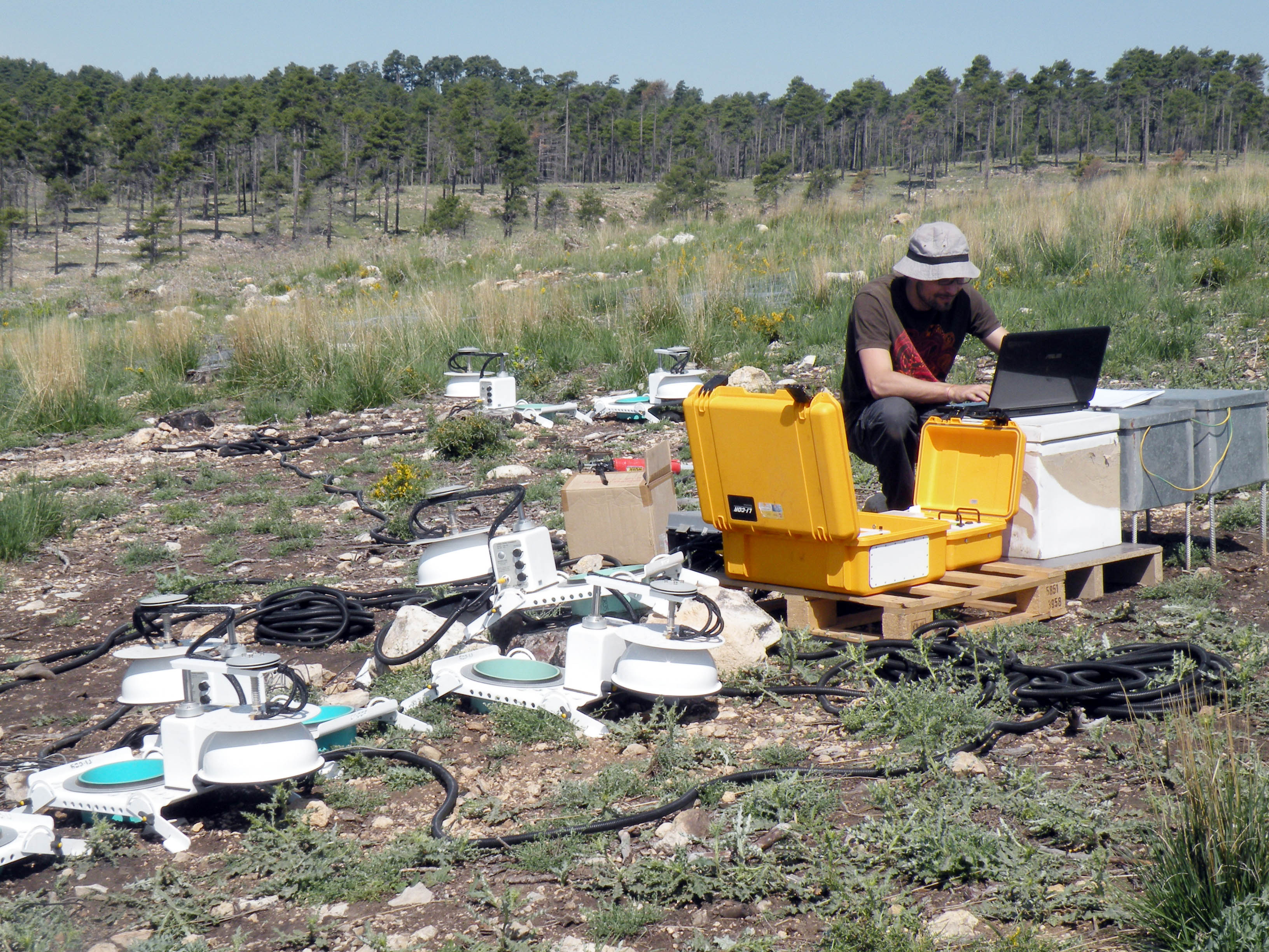 Un estudio revela la importancia de conocer los niveles de emisión de CO2 del suelo durante las etapas iniciales tras un incendio