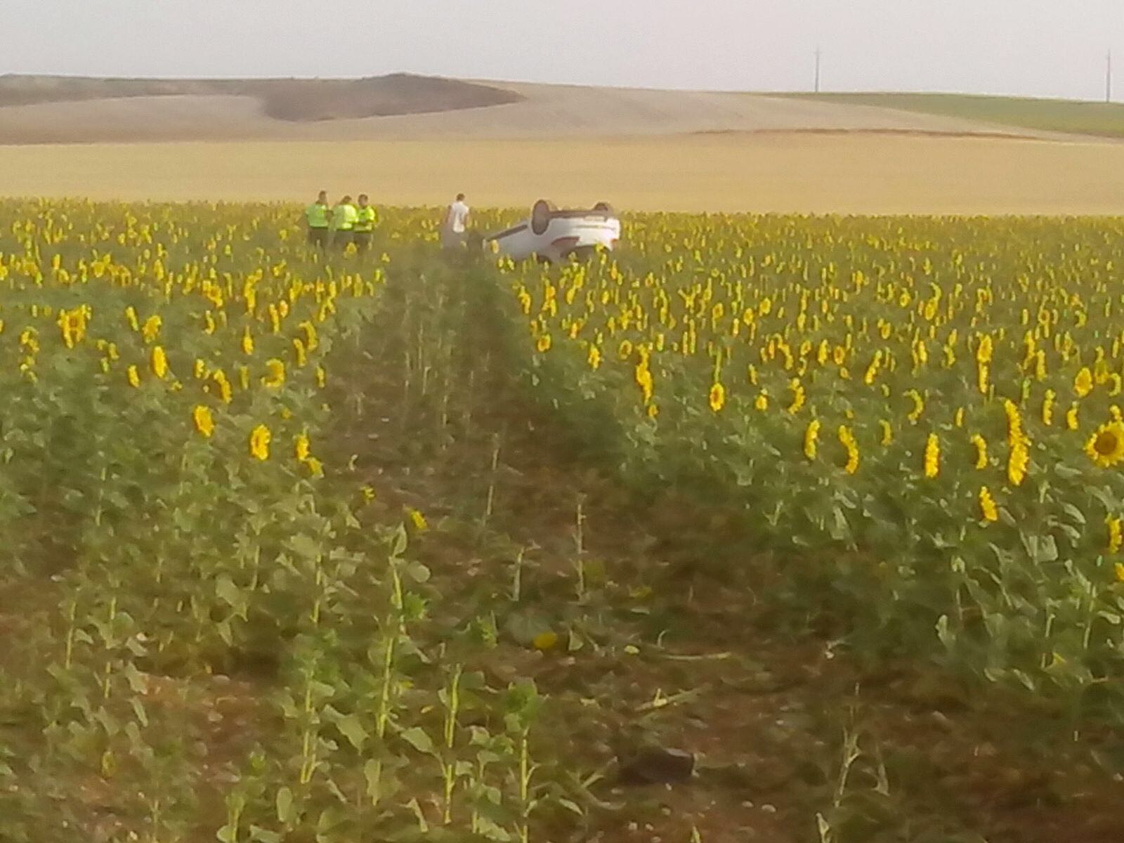 Un turismo acaba en un campo de pipas tras salirse de la autovía en Castillo de Garcimuño