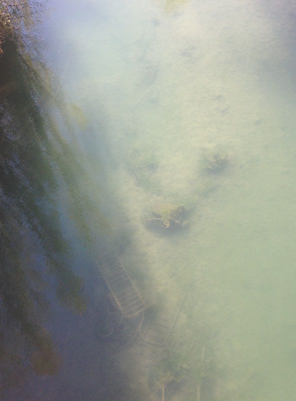 Cs Cuenca pide a la CHJ la limpieza del lecho del Júcar en su tramo urbano 3 Cs Cuenca pide a la CHJ la limpieza del lecho del Júcar en su tramo urbano