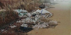 Los concejales no adscritos de El Casar-Mesones demandan mayor limpieza y acondicionamiento del municipio