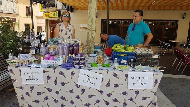 Gastronomía, deporte y música se dieron cita en un completo sábado cultural en Huete