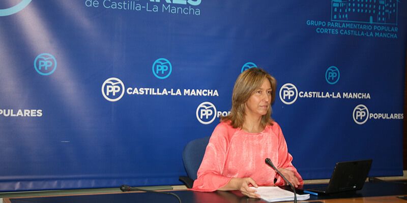 Guarinos denuncia que los presupuestos son falsos y antisociales