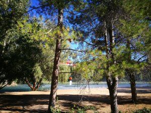 Incendio cañamares 2017 3