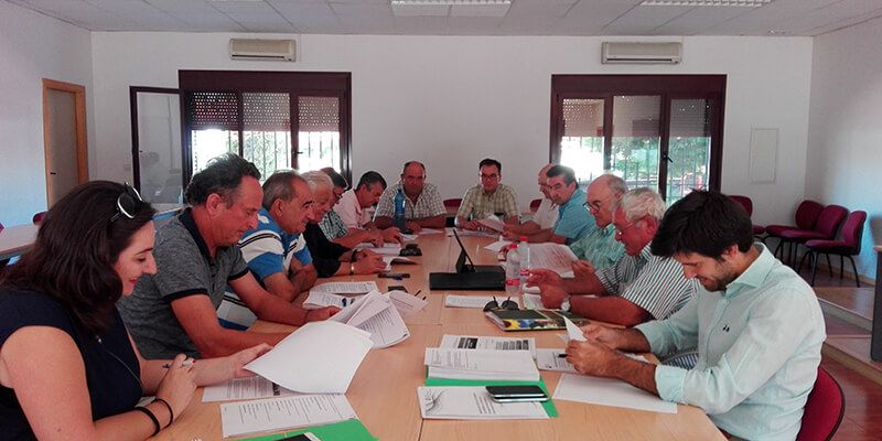 La producción de vino y mosto en Castilla-La Mancha será inferior a la de la pasada campaña